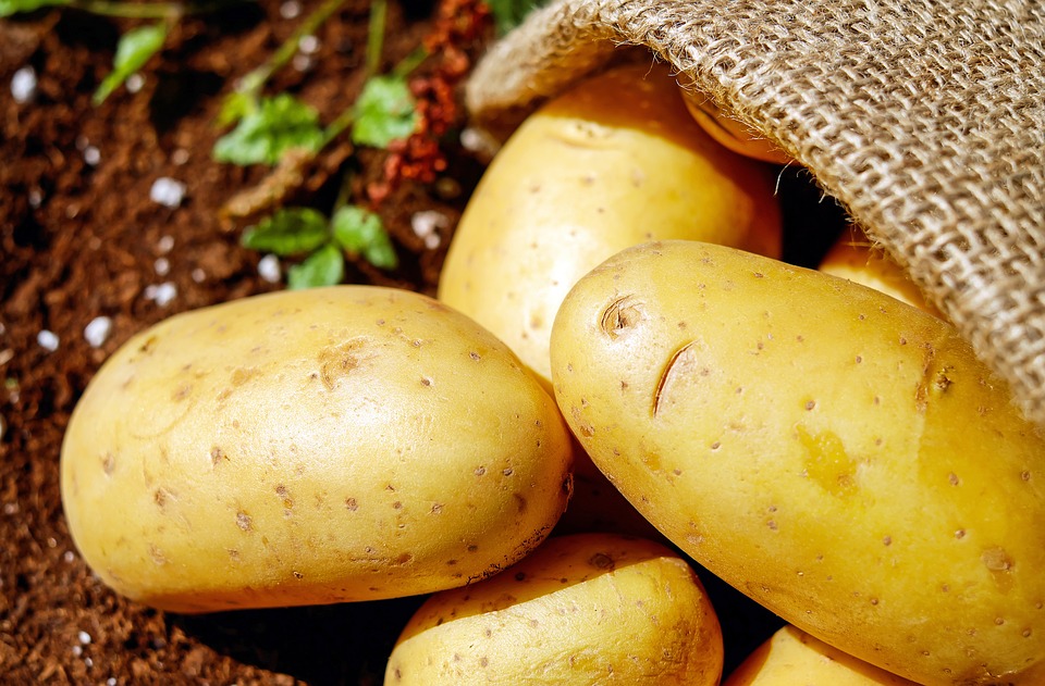 Dlaczego warto jeść ziemniaki?