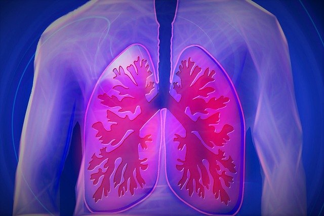 Zadbaj o płuca nie tylko od święta!